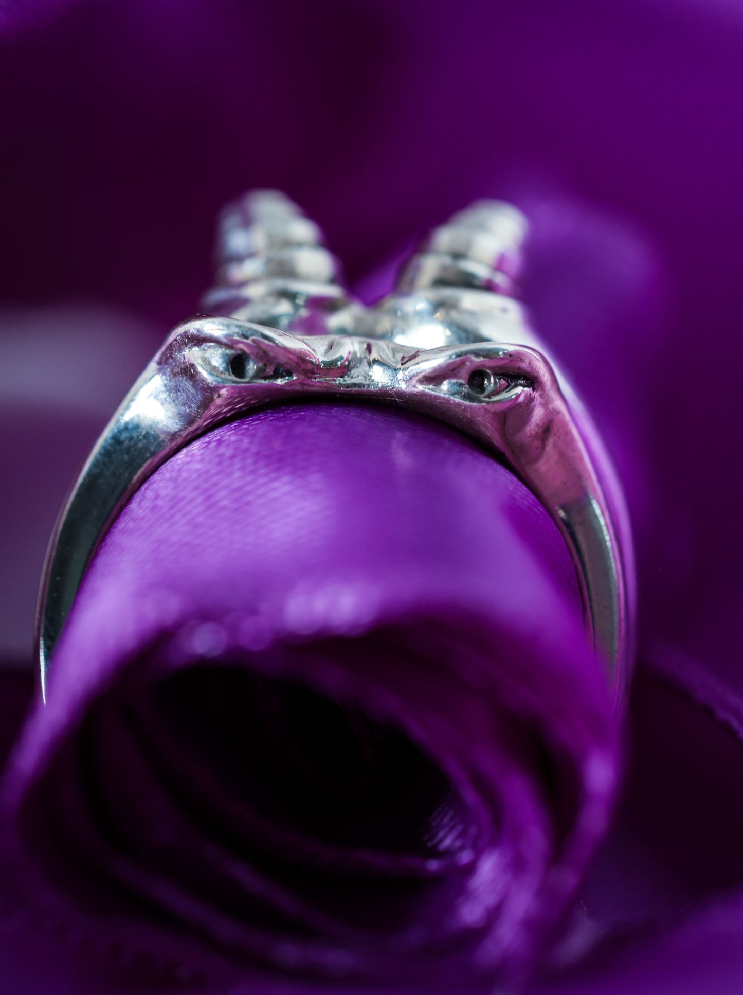 The Monster Ring