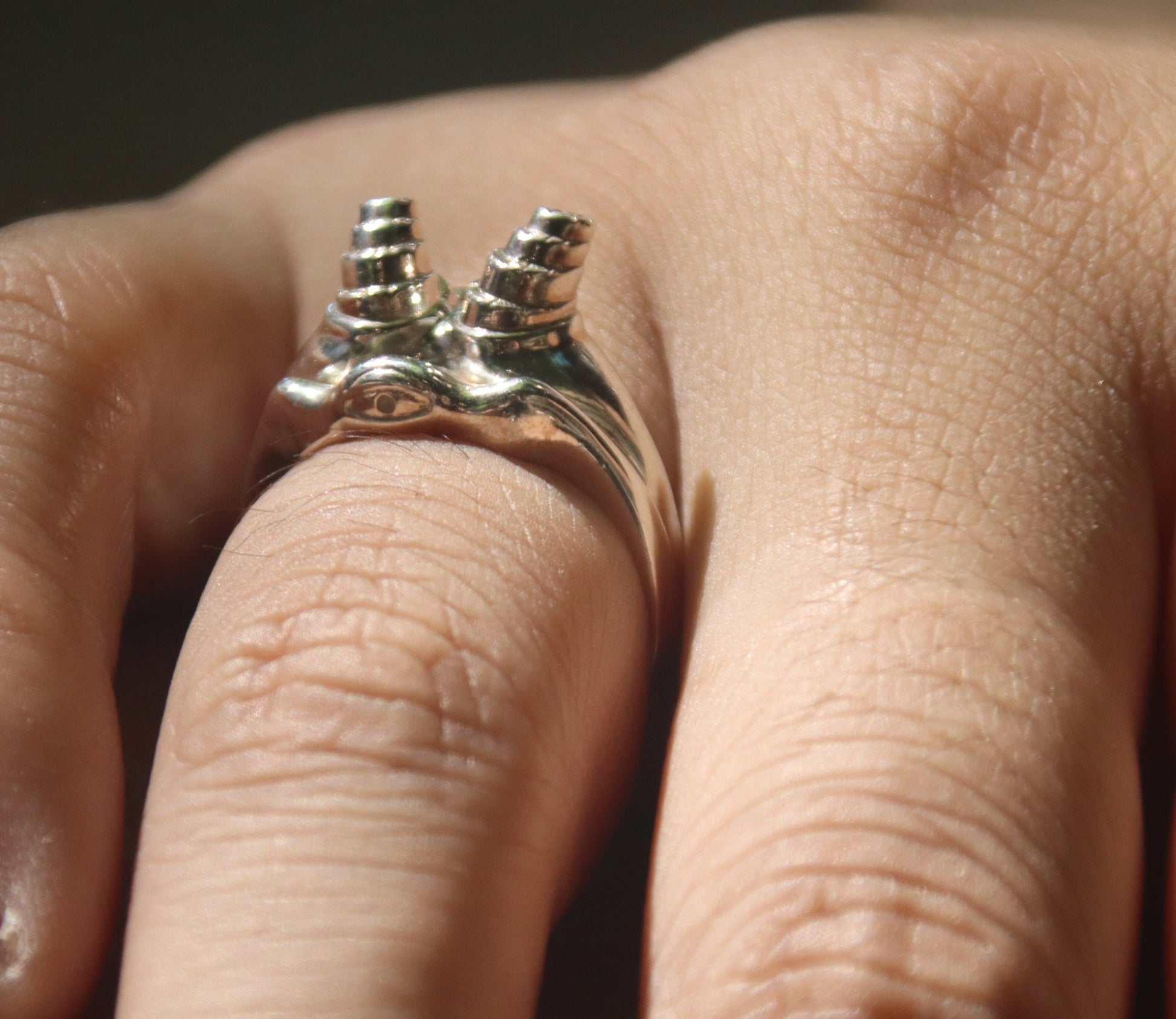 the monsters ring The Monster Ring